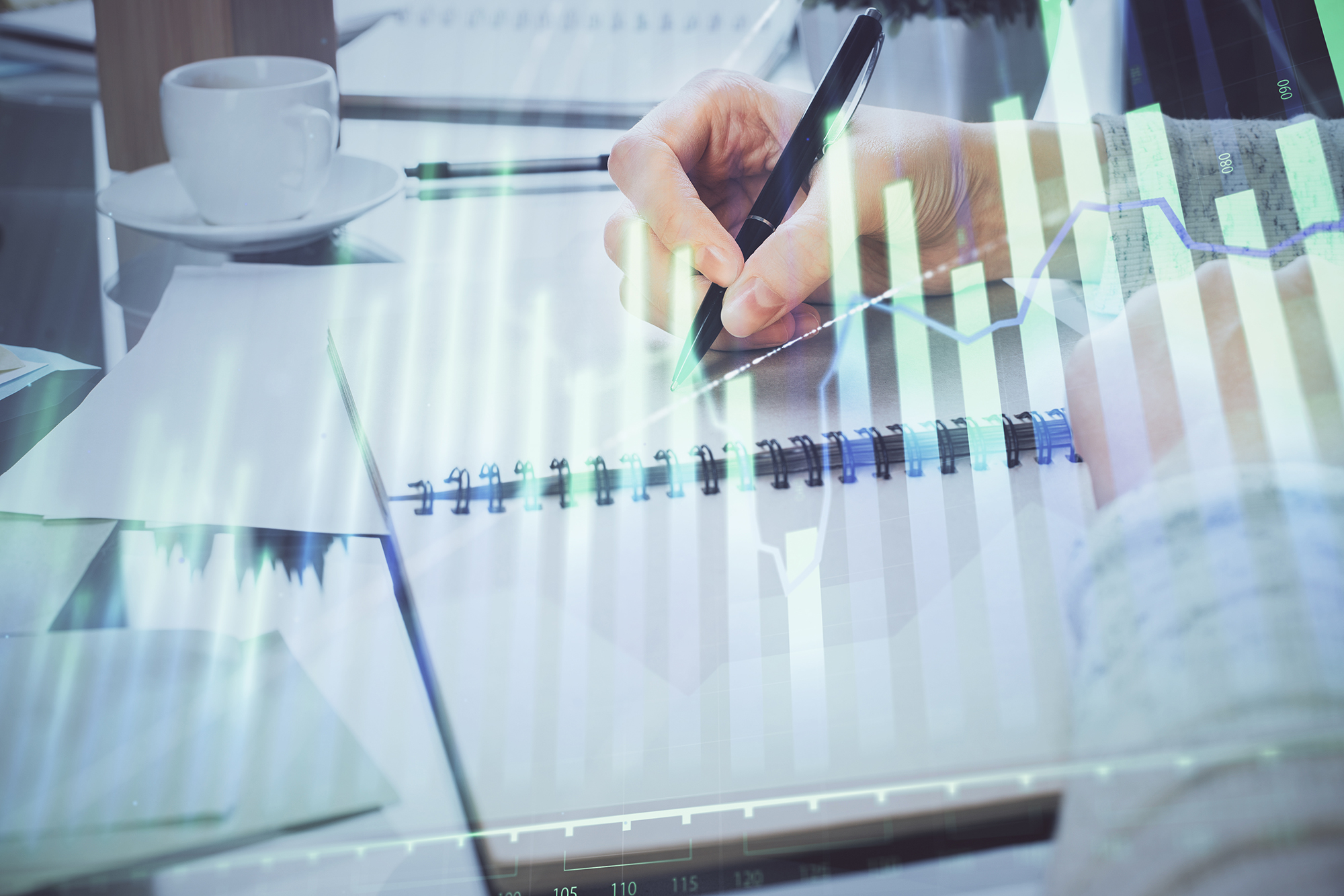 Bilancio Ladisa srl 2024, rispetto al 2023 ricavi aumentati di quasi 8,5 punti percentuali